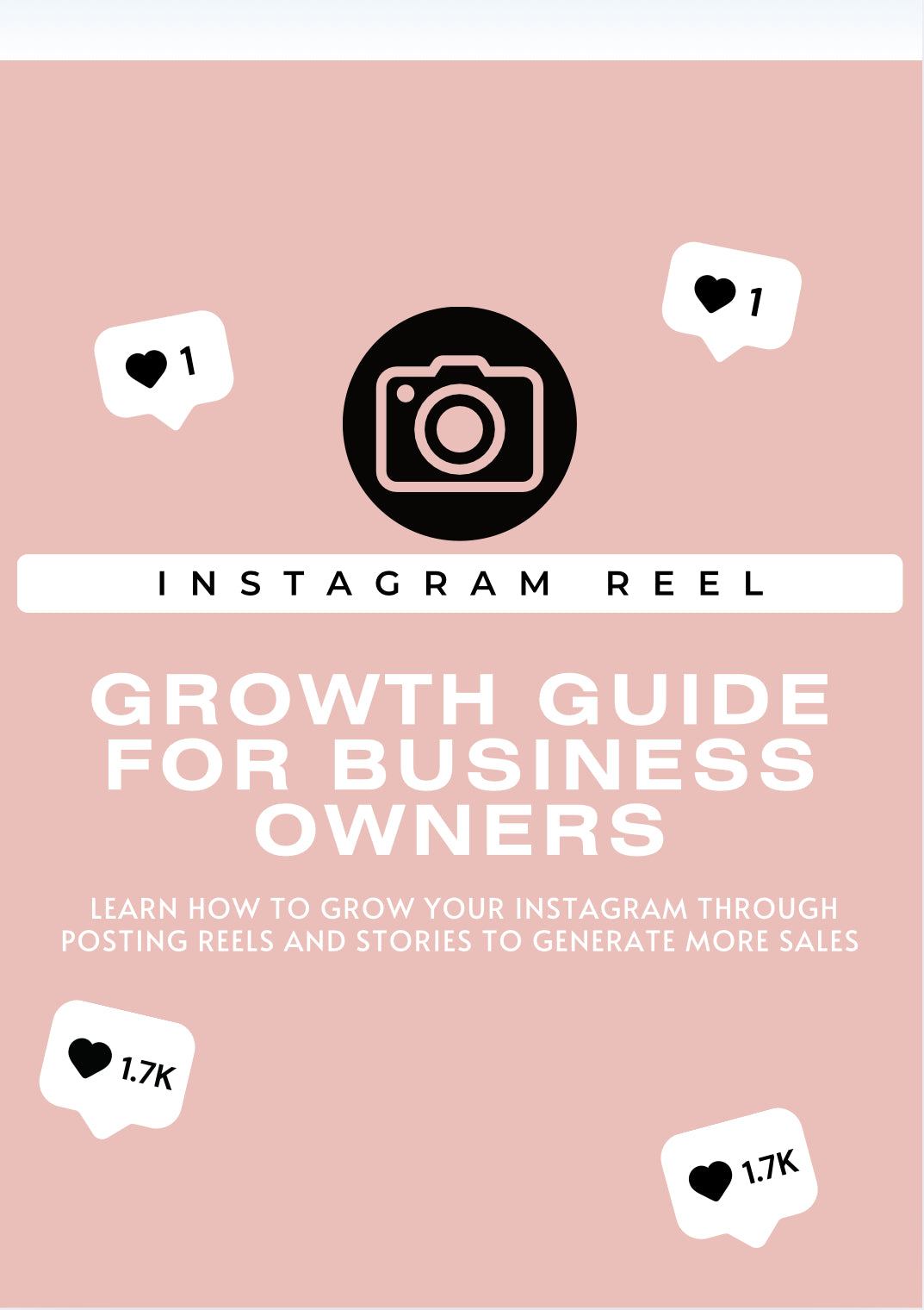 Instagram Growth Guide For Business Owners E-Book